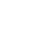dog 2