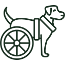 dog 3